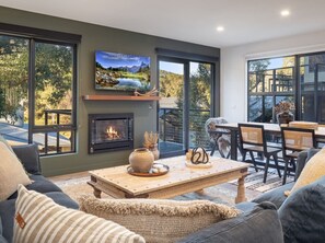 TV, fireplace, stereo