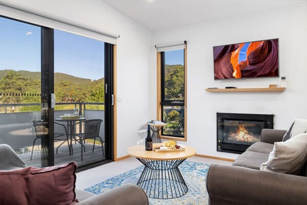 TV, fireplace