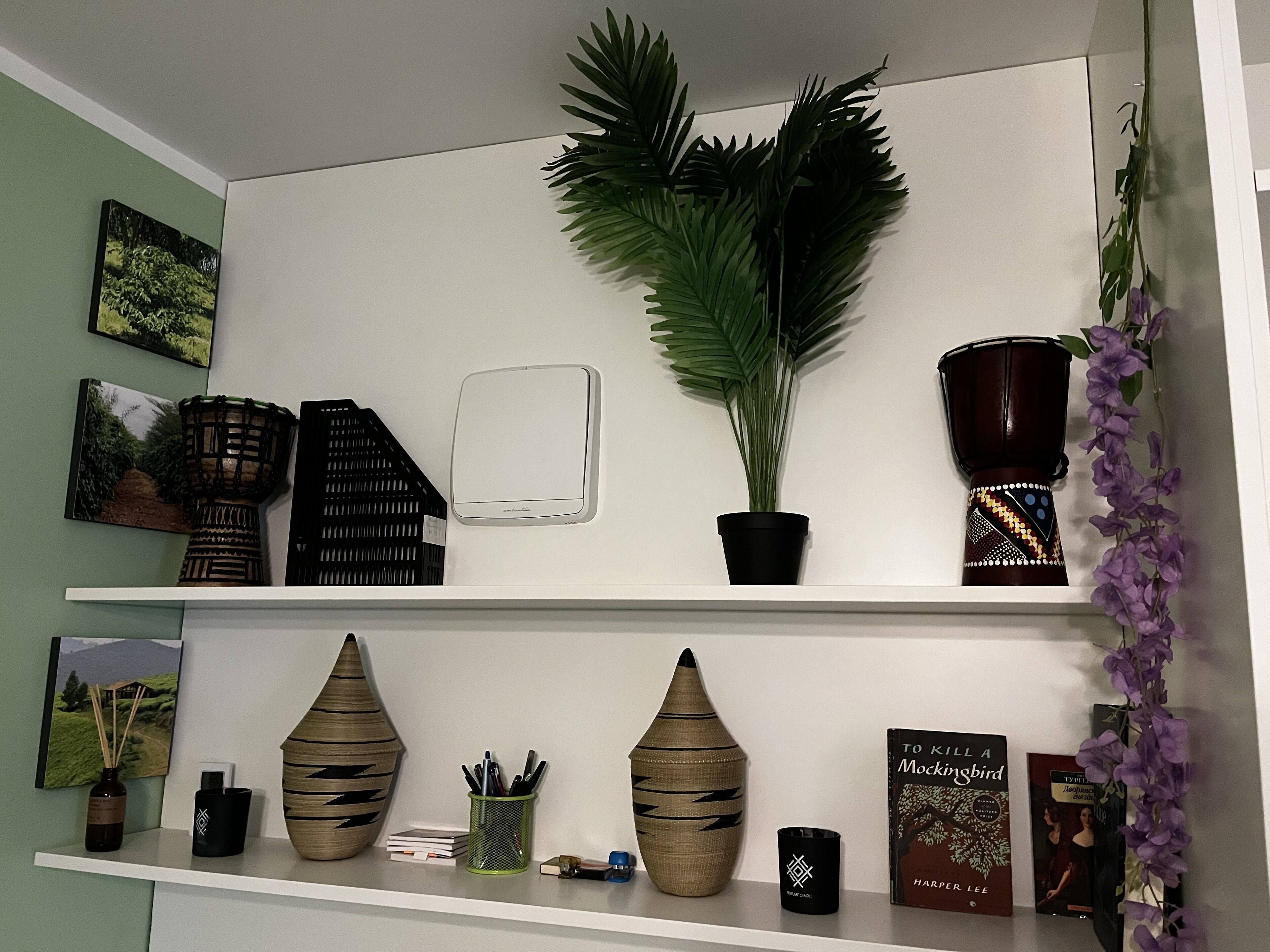 Une étagère ornée de divers objets décoratifs, notamment une plante en pot, des vases et des livres.