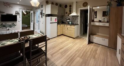 One bedroom apartment in the center of Riga