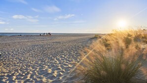 Een zandstrand met mensen in de verte en hoge grassen op de voorgrond.