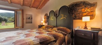 Cozy country house surrounded by olive trees.