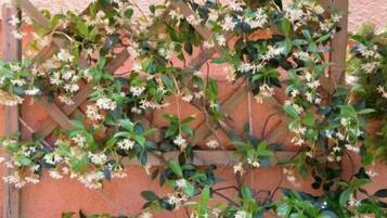 DĂ©tail de lâextĂ©rieur