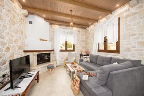 TV, fireplace, books