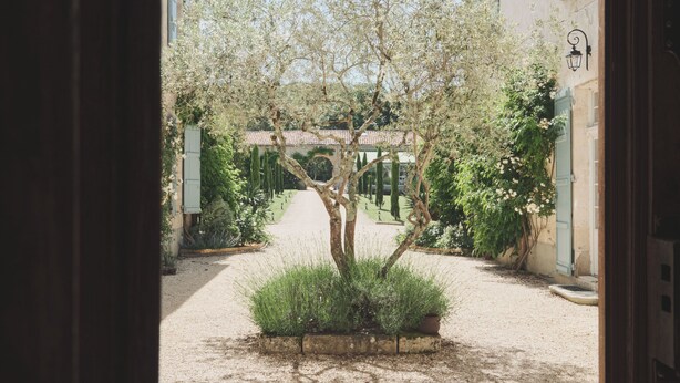 Un cortile con un albero centrale, circondato da edifici con persiane verdi e un muro in pietra sullo sfondo.