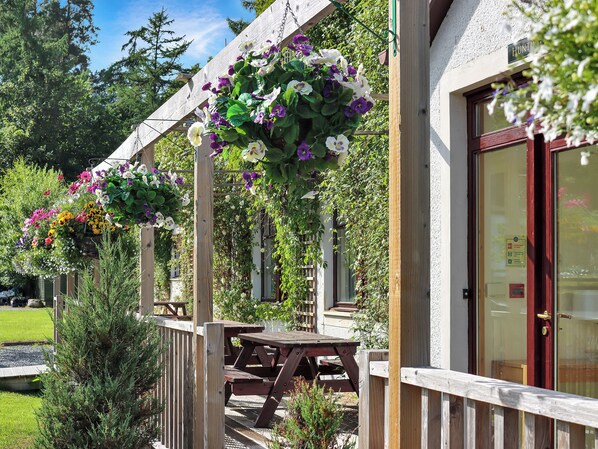 Restauration en plein air