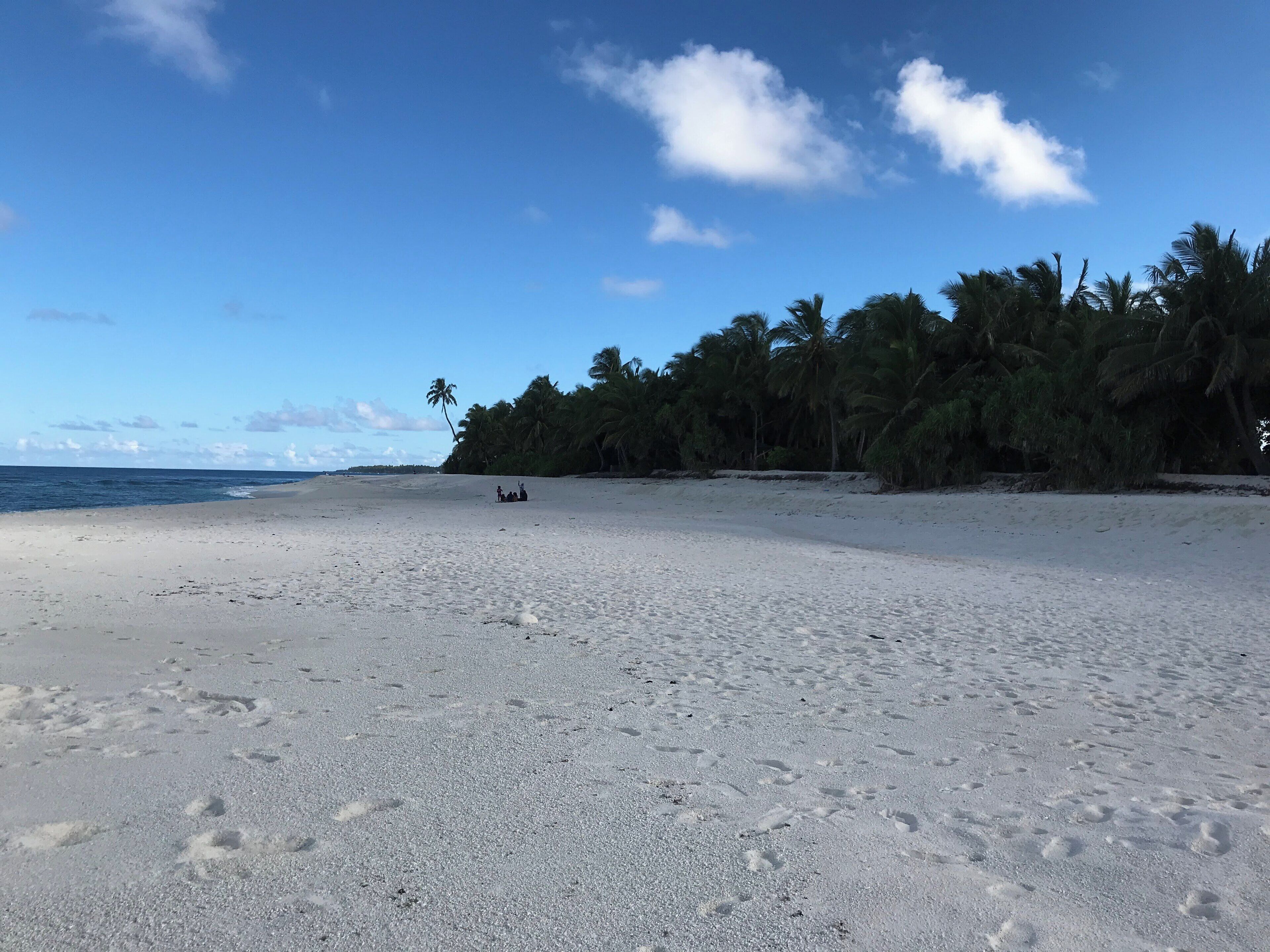 A sandy beach with footprints, palm trees, and a clear sky.