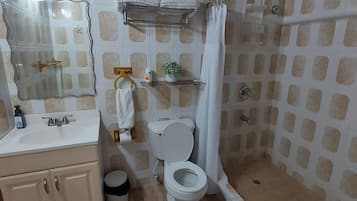 Secador de cabelo, toalhas de banho, sabonete, shampoo
