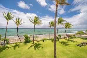 A beachfront property with a lawn, palm trees, and a view of the ocean. - Beachfront Resort : WorldMark Kapaa Shore : 2 BR (Kauai)