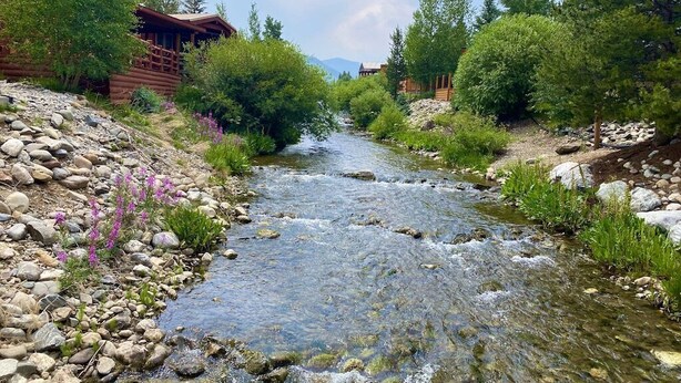 A river flowing through a forested area with wooden cabins.