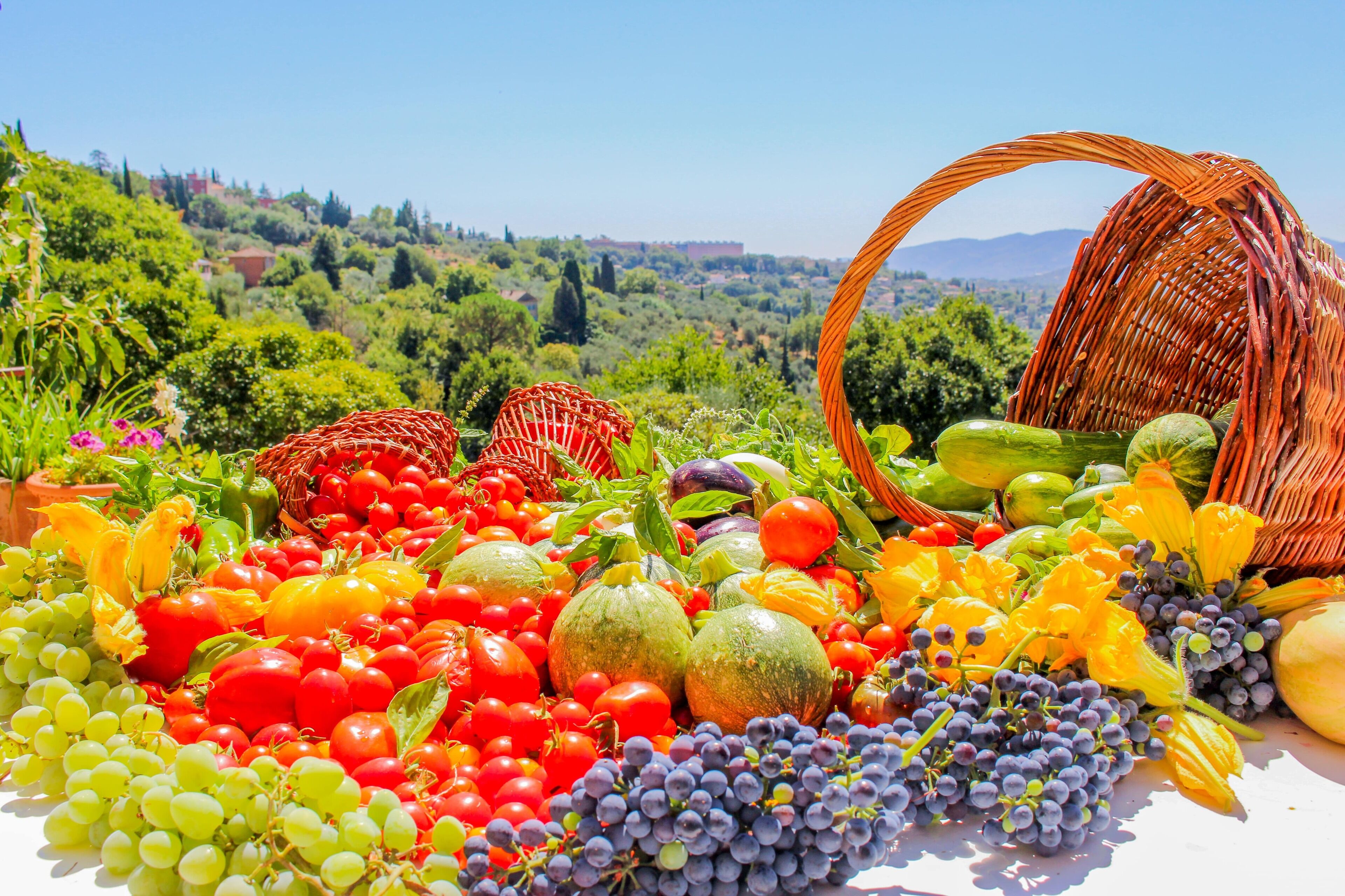 A table with a variety of fresh fruits and vegetables, including tomatoes, grapes, and squash, set against a scenic hillside backdrop.