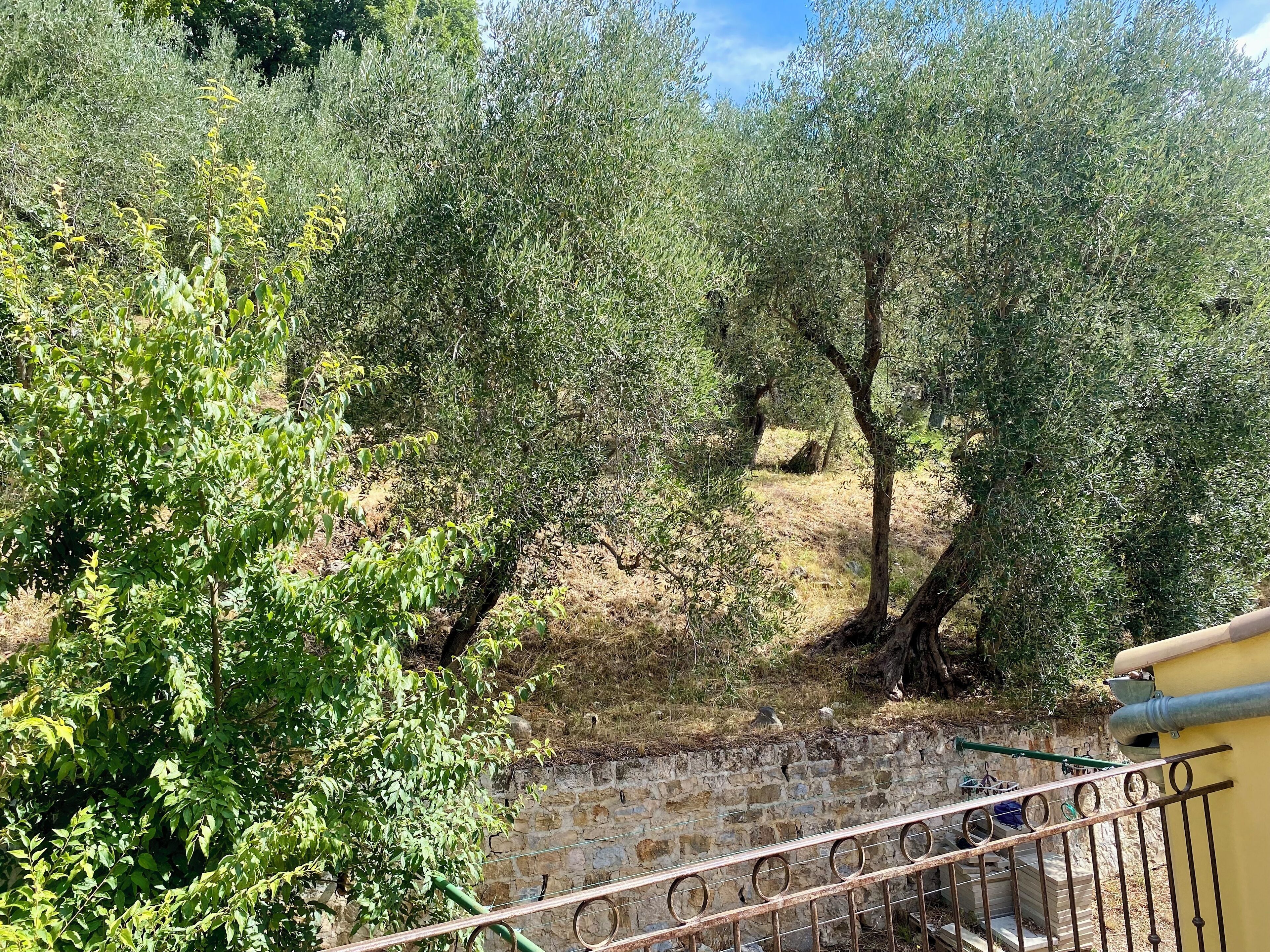 Mur de pedra amb barana metàl·lica, oliveres i un cel serè.