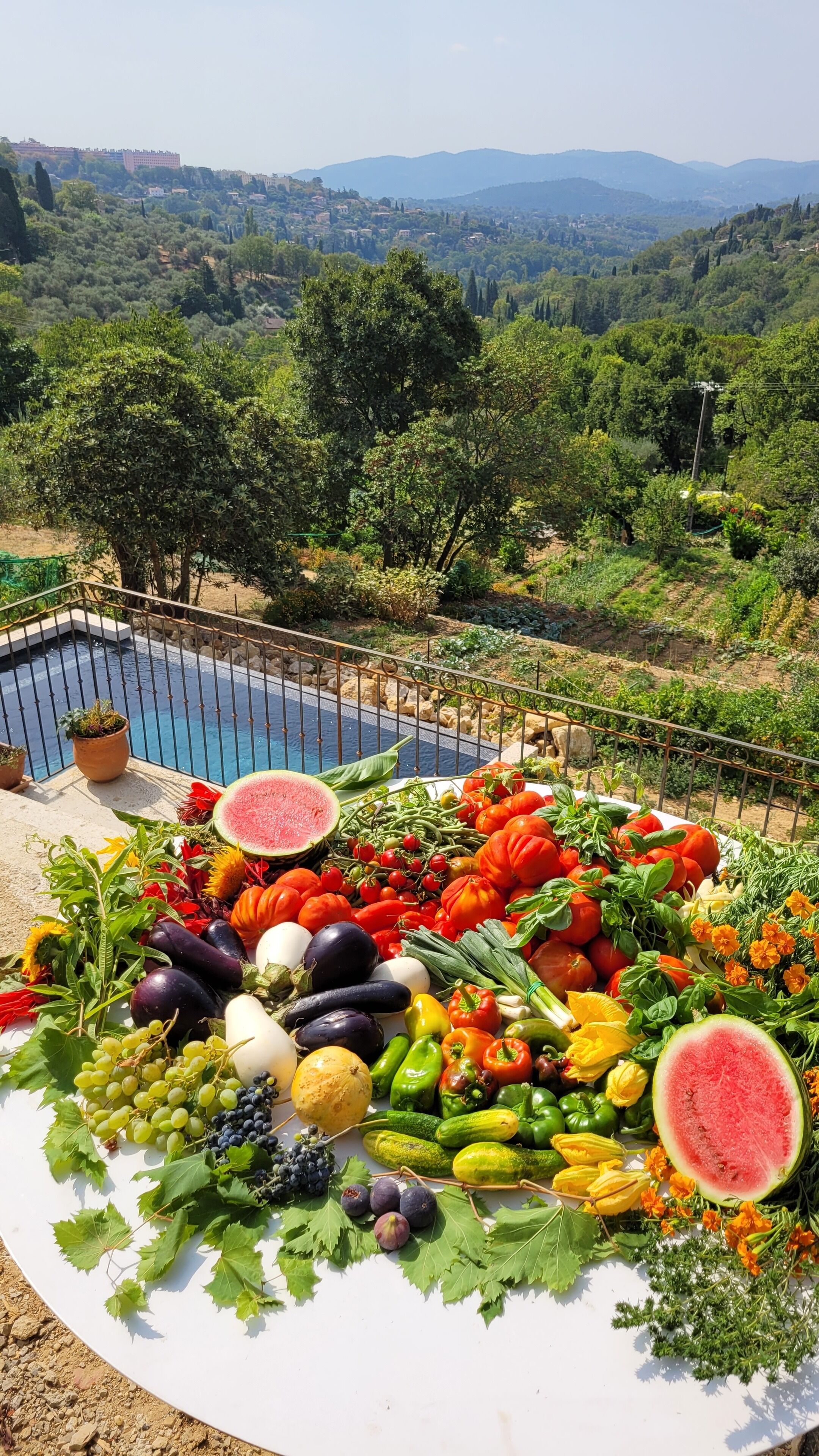 A table with a variety of fresh fruits and vegetables, a swimming pool, and a scenic view of hills and trees in the background.
