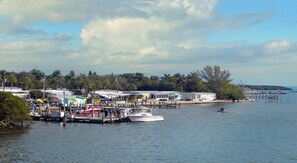 Stray Dog Fishing Charter at Cortez Bridge