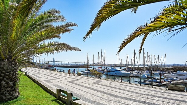 A marina with boats docked, a bridge in the background, and a paved walkway with benches.