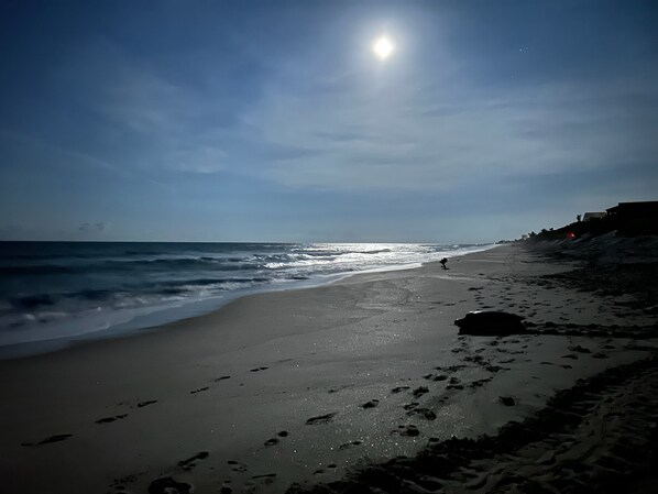 Beach nearby, sun loungers