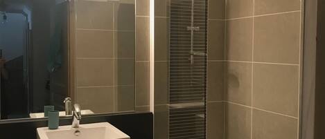 Shower, hair dryer