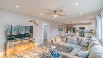 Smart TV, fireplace, books