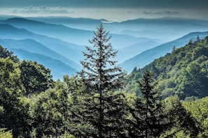 A mountainous landscape with dense forest and a prominent evergreen tree in the foreground. - 3 Pools, Game Rm, New HotTb, Firepit, A+ Location! (Gatlinburg)