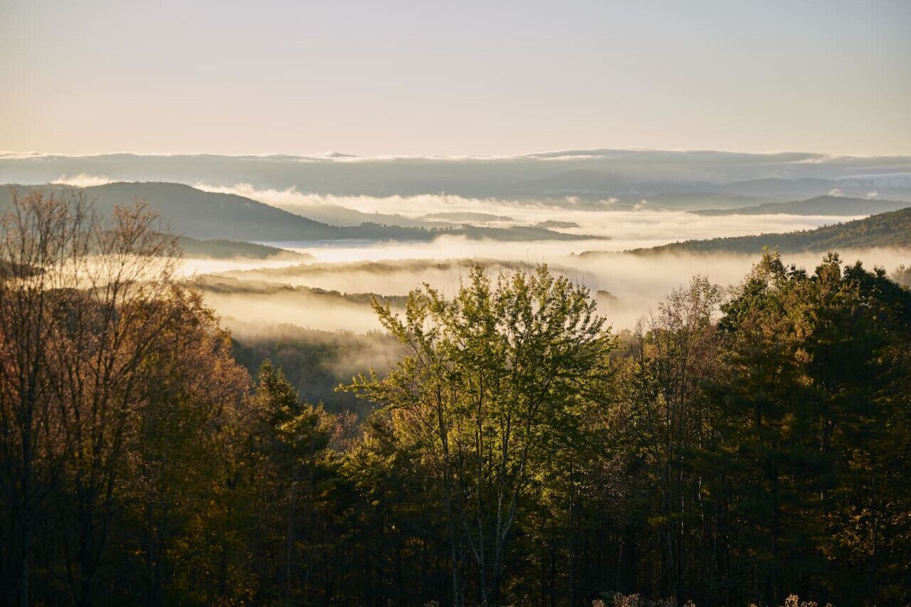 Metsäinen maisema, josta avautuu näkymä kaukaisiin kukkuloihin, ja jonka yllä leijuu sumu tai usva.