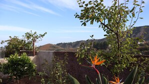 A rooftop garden with various plants and a view of distant hills. - Casa Rural en San Mateo, con Finca Propia (CN)