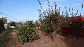 Property grounds - Casa Rural en San Mateo, con Finca Propia (CN)