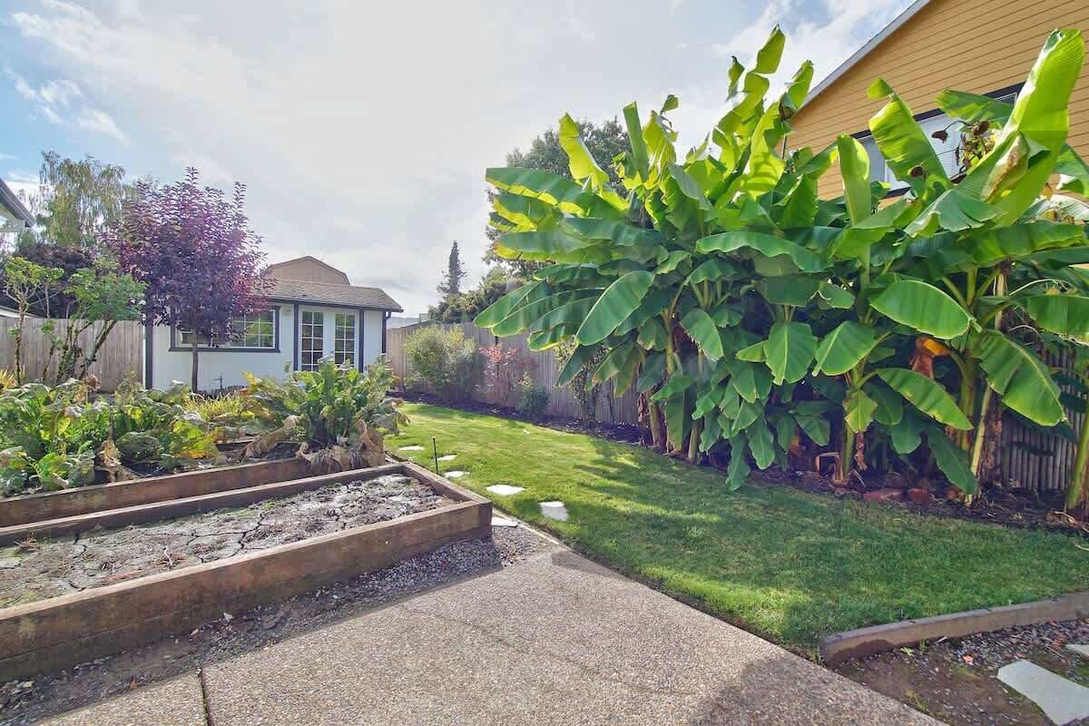 Un giardino residenziale con aiuole rialzate, un prato e una recinzione in legno.