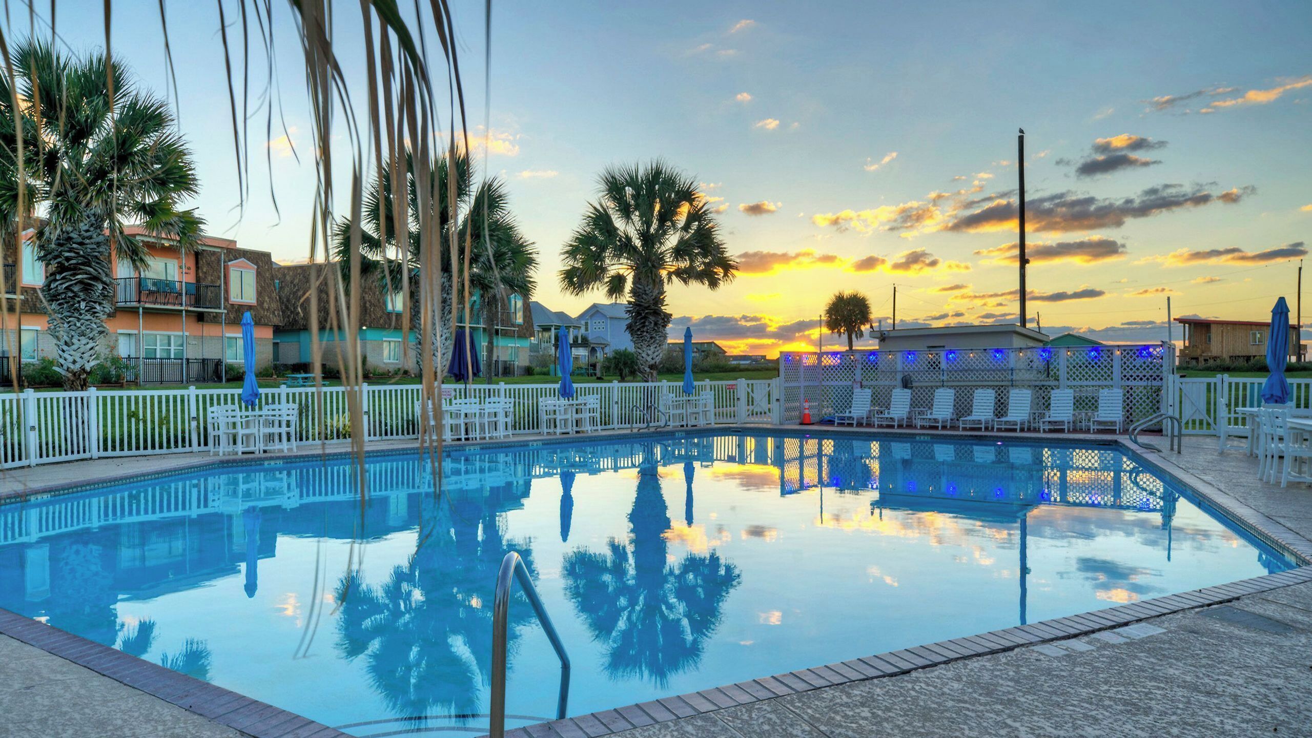 A swimming pool with a clear reflection, surrounded by palm trees and a white fence.