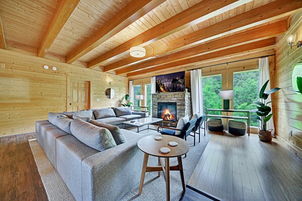 TV, fireplace, ping pong