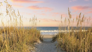 A beach path leading to the ocean with tall grasses on either side.