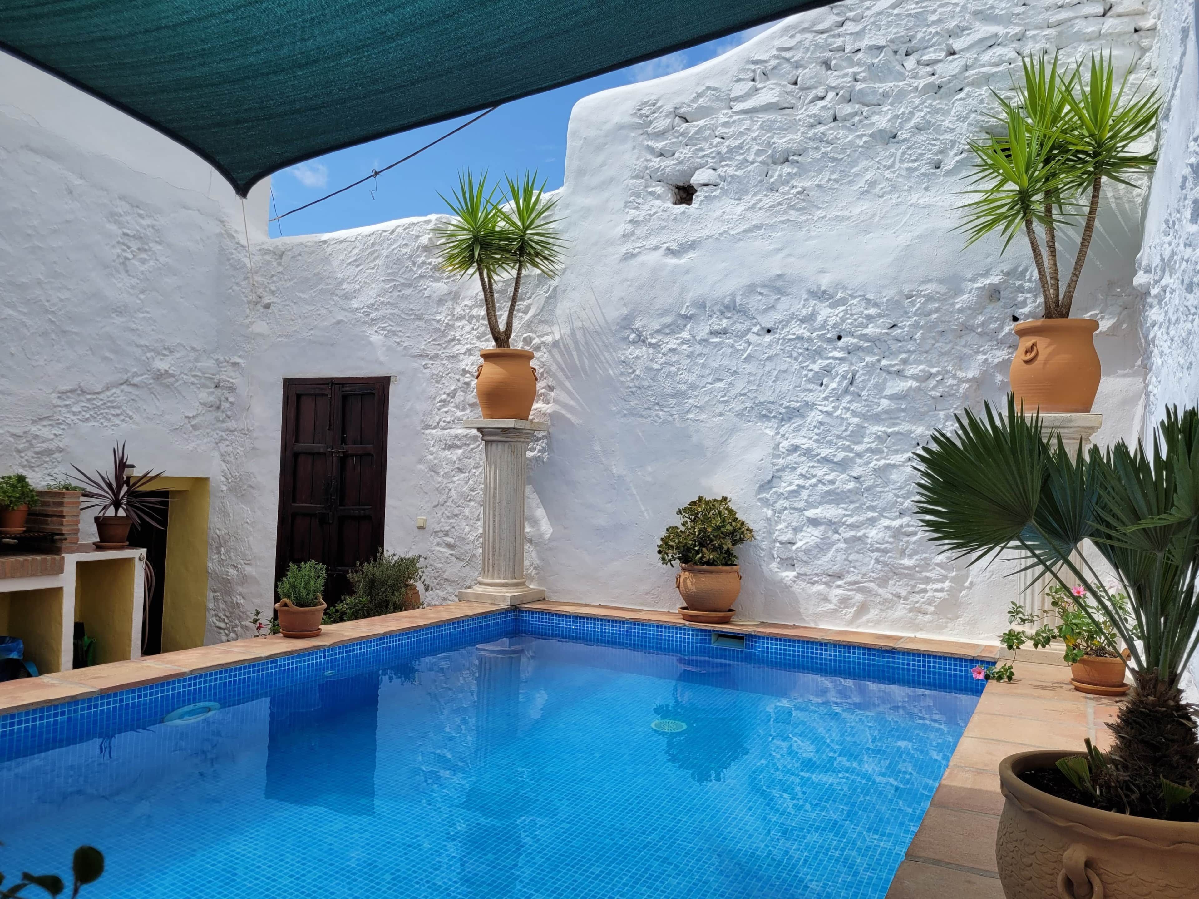 A pool area with a white wall, a door, and potted plants.