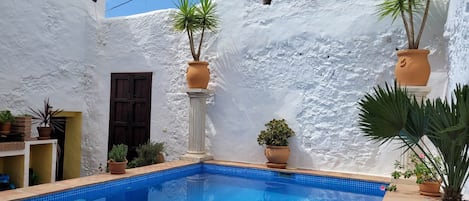 A pool area with a white wall, a door, and potted plants.