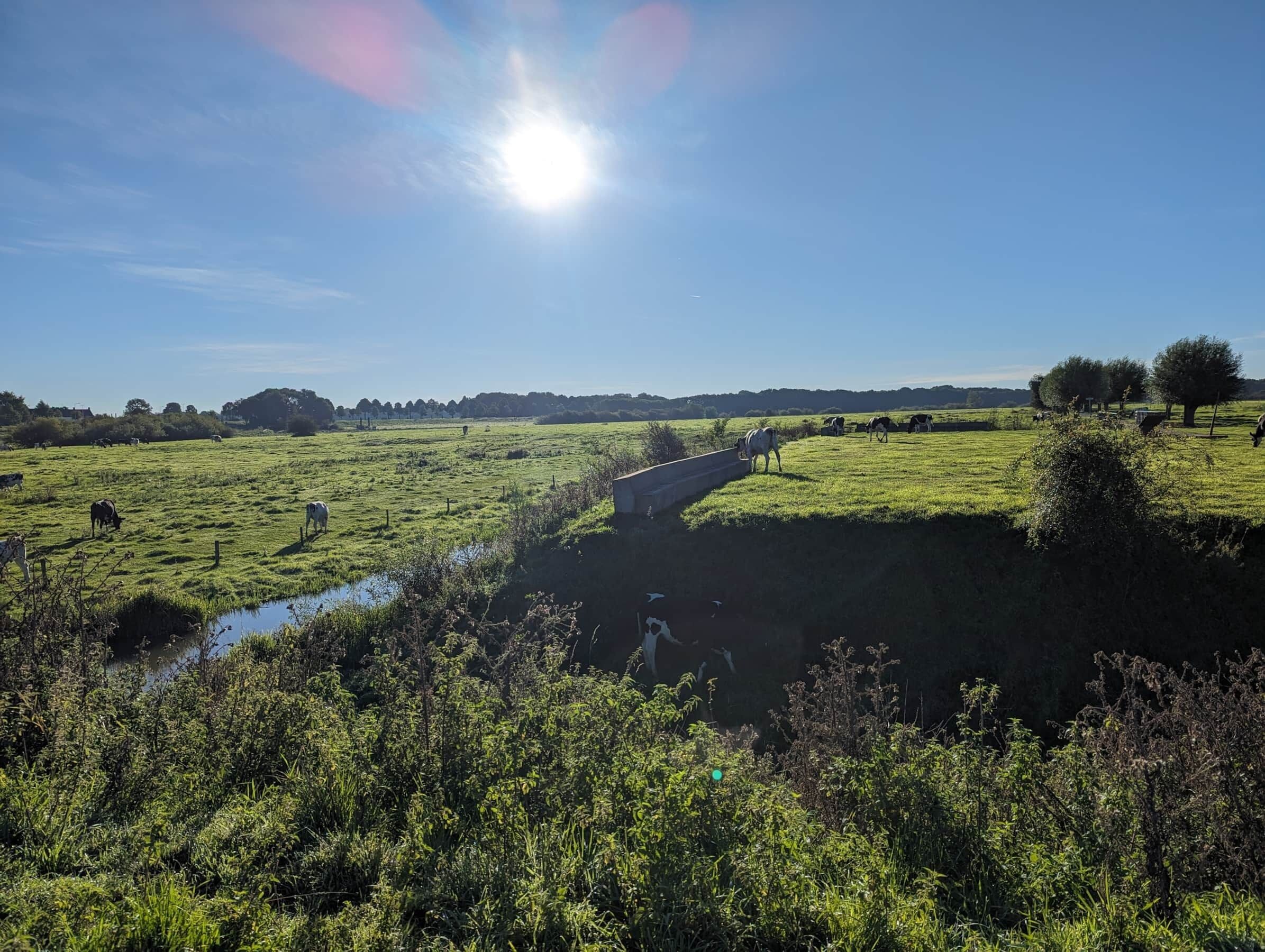 Paisatge rural amb un pont, camps verds i un cel serè.