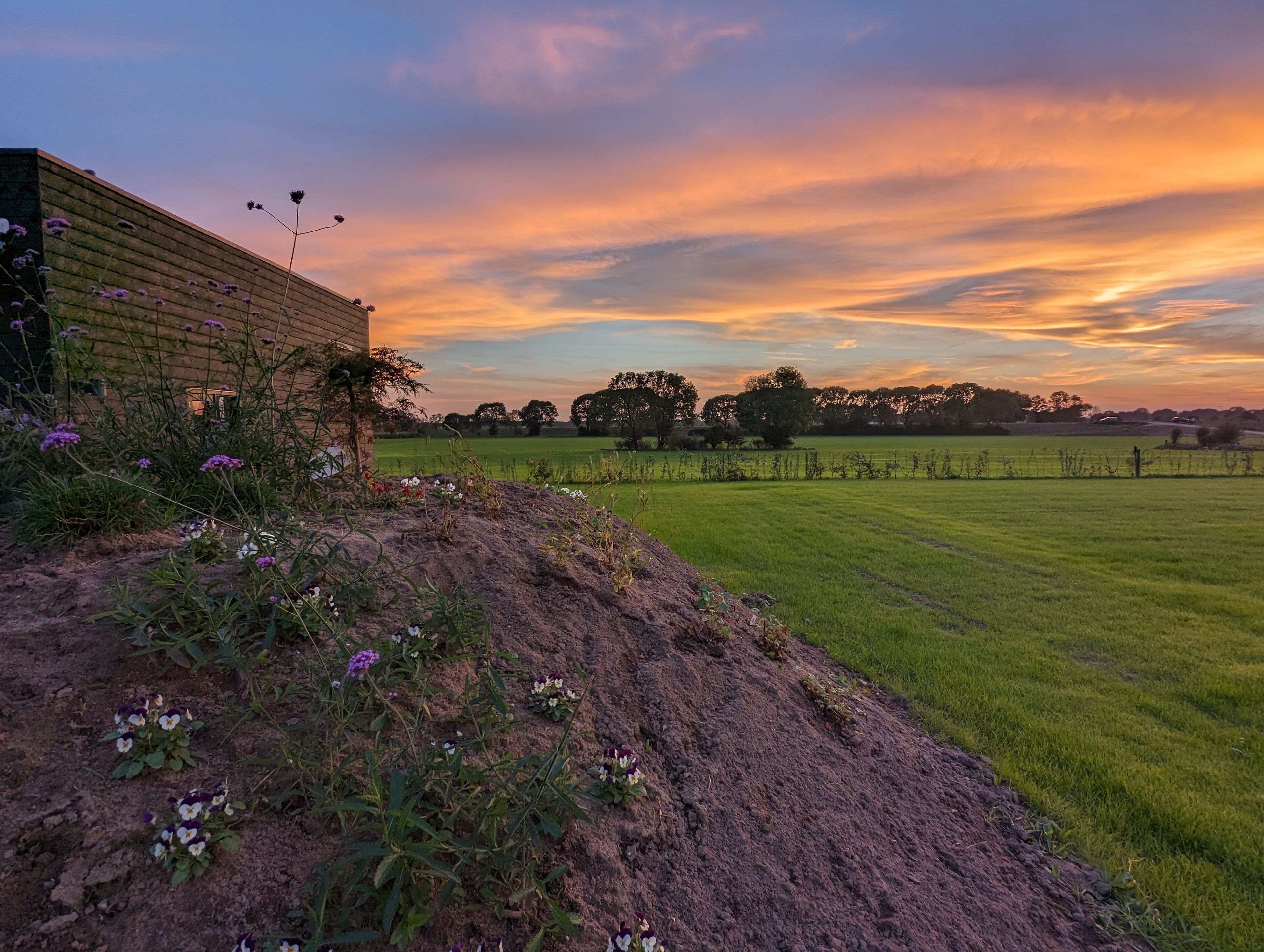 A rural landscape with a field, a building with a sloped roof, and a sunset sky.