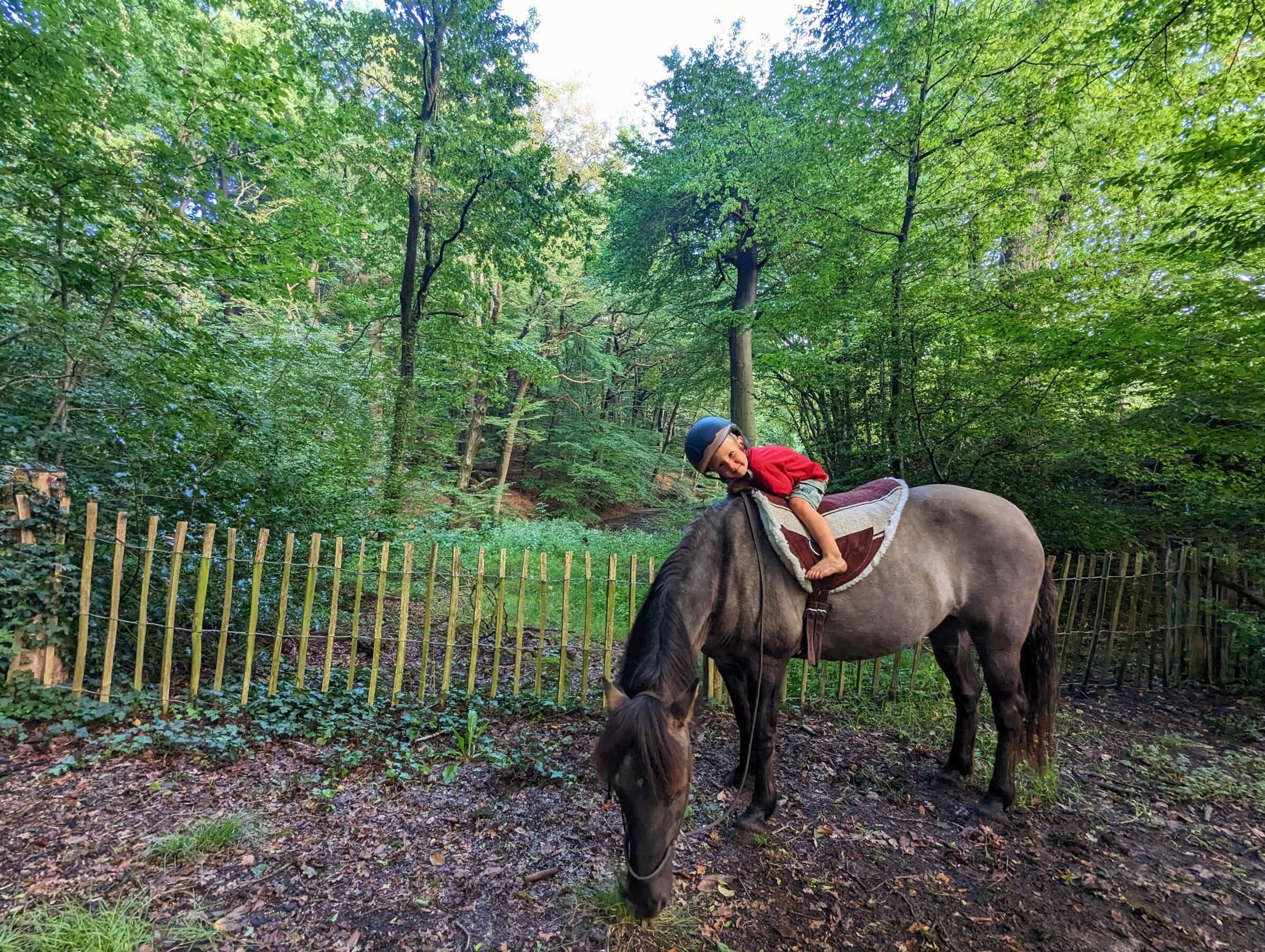 Un niño montando un caballo en una zona boscosa con una cerca de madera.