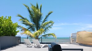 A rooftop terrace with lounge chairs and a palm tree, overlooking a beach. - Villa Picuas MR in Rio Grande Magical place (Río Grande)