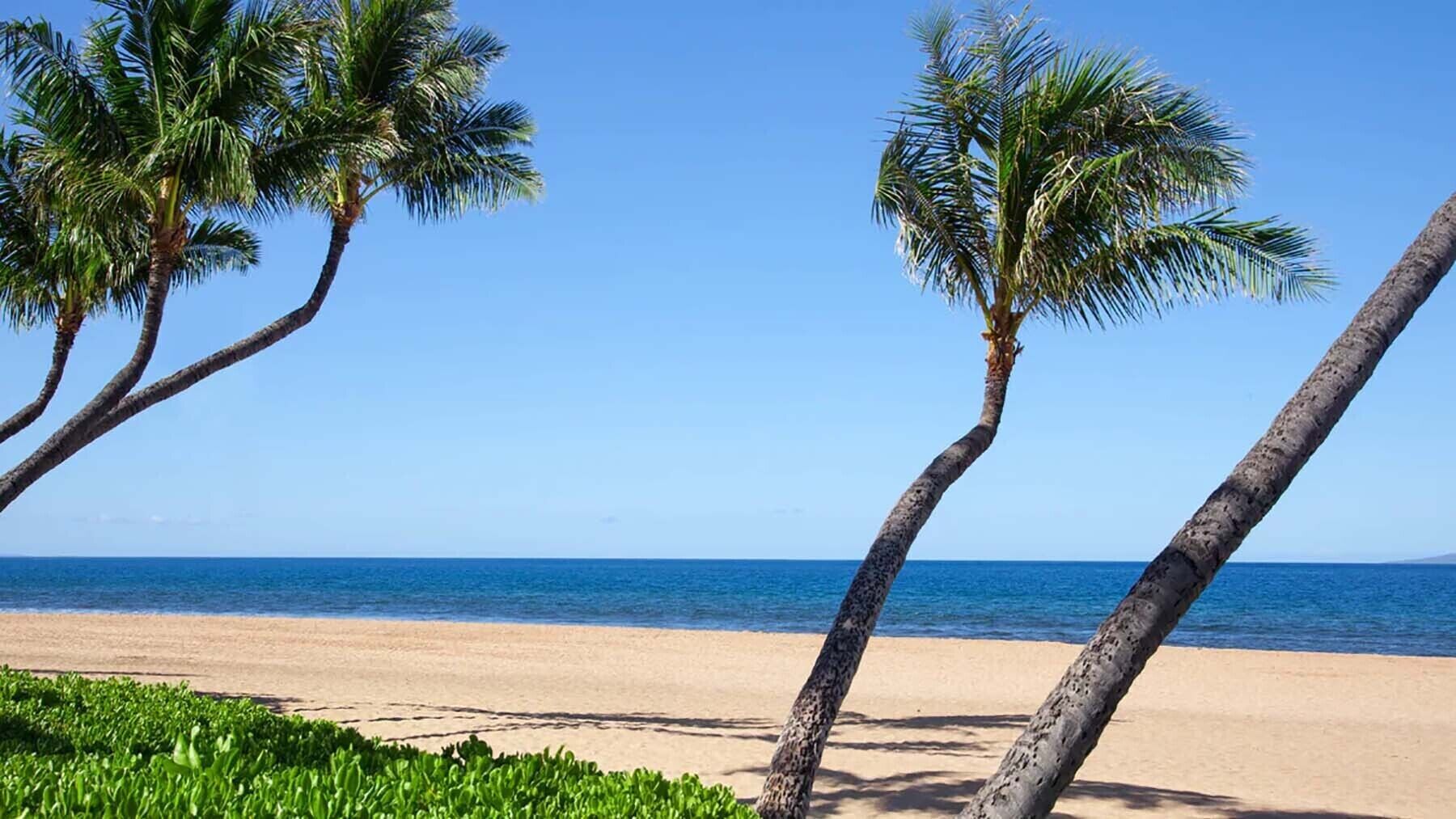 On the beach, sun loungers, beach towels