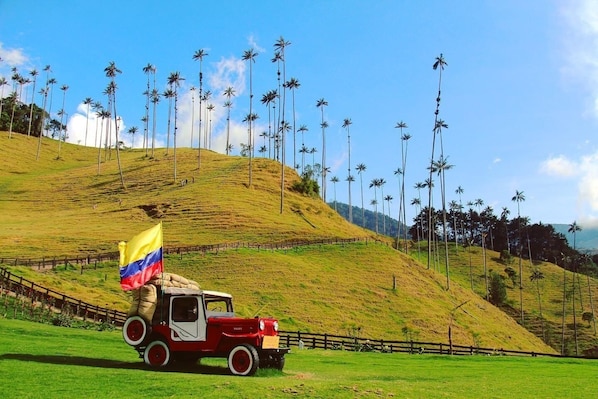 Hiking - SAN PEDRO SALENTO APARTAHOTEL (Salento)
