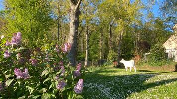 Enceinte de lâhĂ©bergement