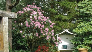 Un jardin agrémenté d’une structure en bois, d’un grand pot en argile et de différentes plantes.