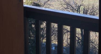 Large 4-person studio with Mont Blanc view