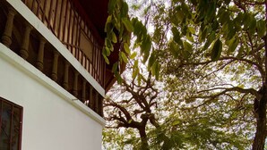 Ein Innenhof mit einer Hängematte, einem großen Baum und einem Gebäude mit Balkon.