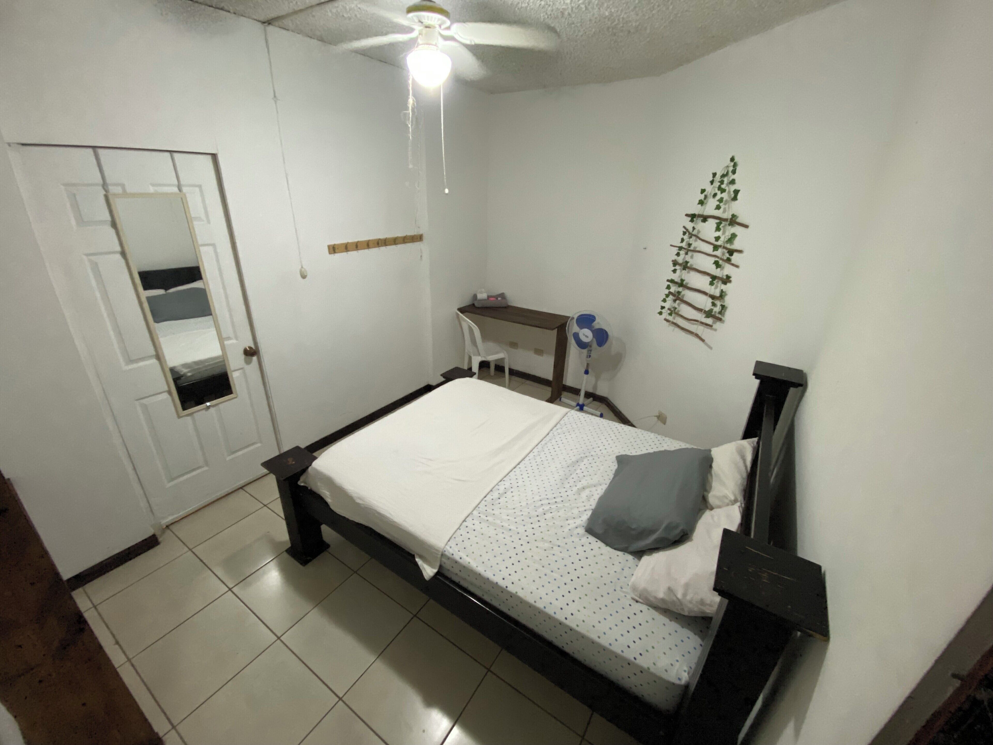 Een slaapkamer met een bed, een bureau, een stoel, een plafondventilator en een aan de wand bevestigde plant.