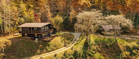 Eine Hütte mit einer Terrasse und einem Feldweg, der davorhin führt, umgeben von Bäumen und einem Wald.