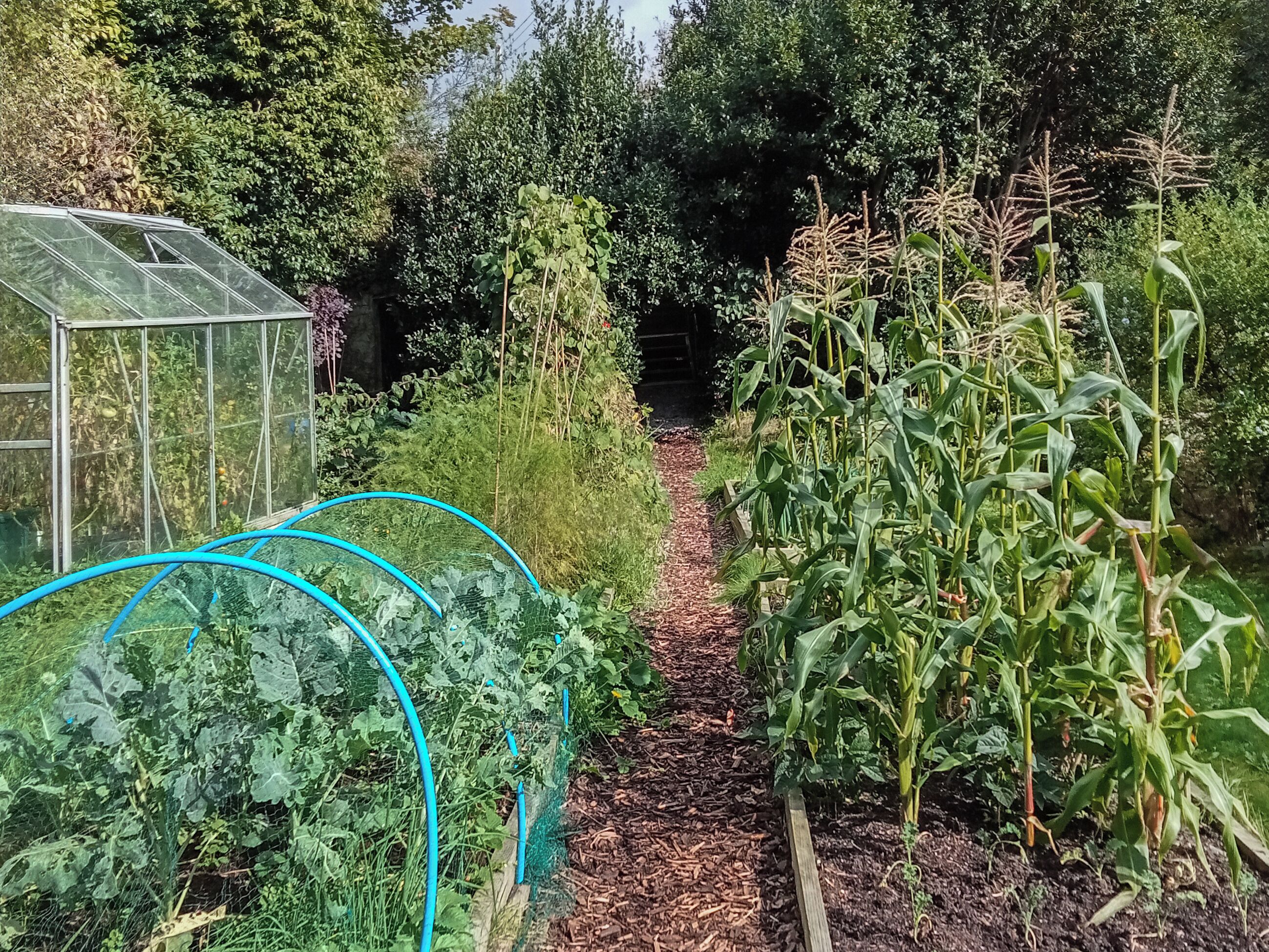 Áreas de la propiedad