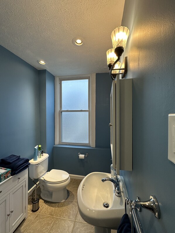 Eco-friendly toiletries, hair dryer, bidet, towels - Spacious, charming, comfortable, centrally located and walkable!
(Pittsburgh)