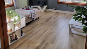 Una stanza con un letto, una TV, una finestra e una pianta.