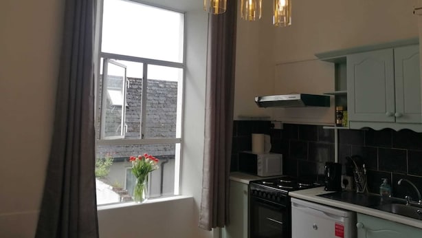 A kitchen with a window, a stove, a dishwasher, and a cabinet. - Perfect Apartment - Close to the Train Station (Cork)