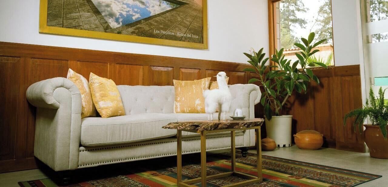 Una sala de estar con sofá, cojines, una mesita de centro y una planta en maceta.