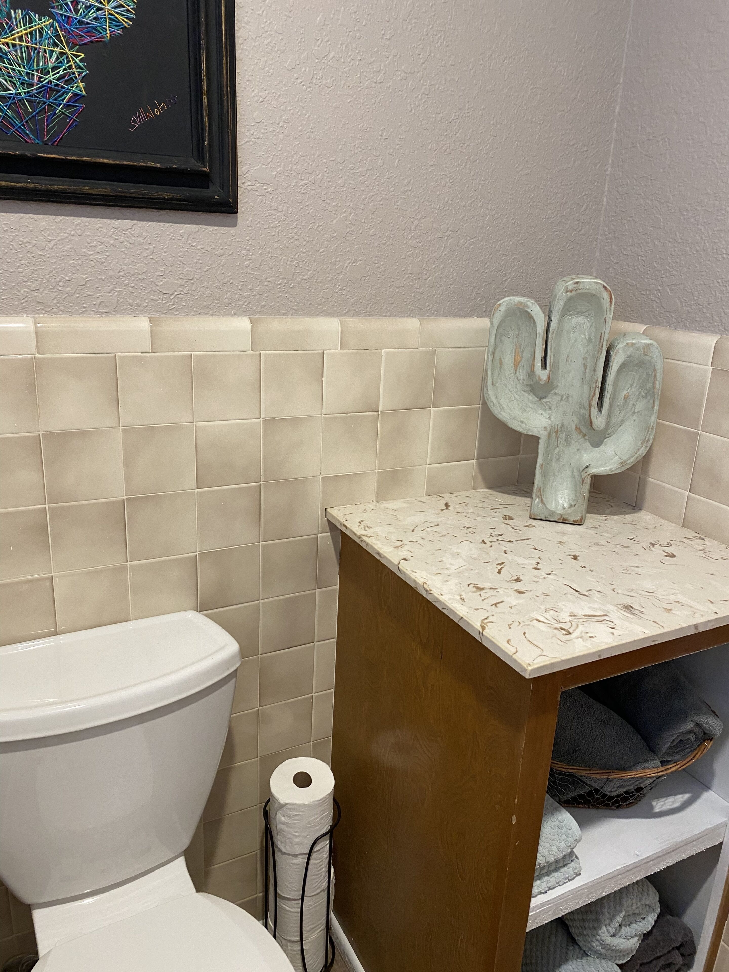 A bathroom with a toilet, a cactus decoration on the wall, and a shelf with towels.